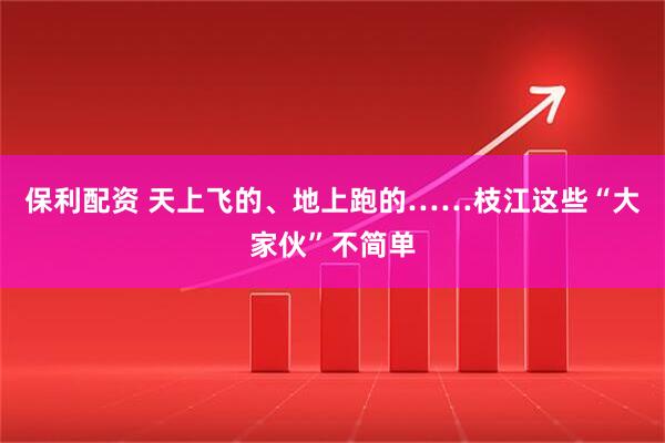 保利配资 天上飞的、地上跑的……枝江这些“大家伙”不简单